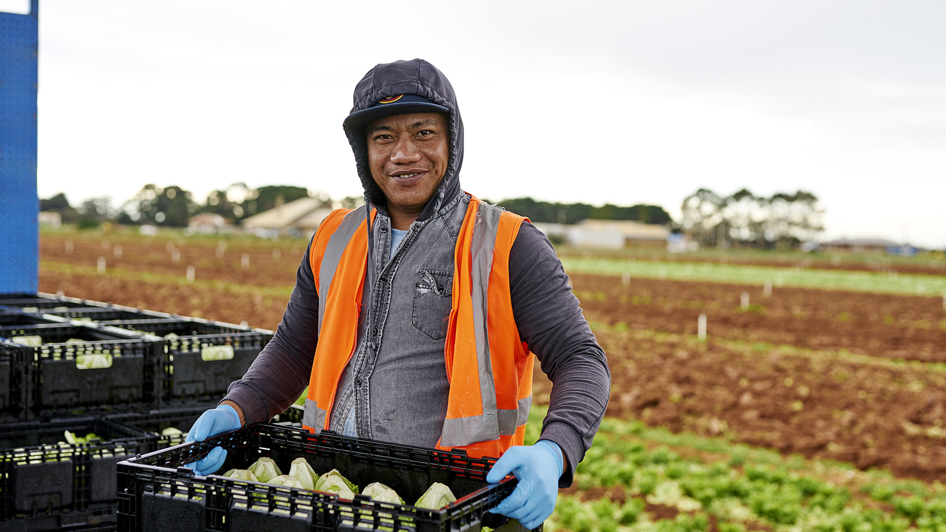 Fragapane Farms