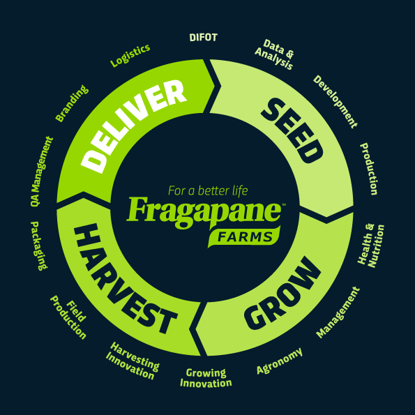 Fragapane Farms Approach