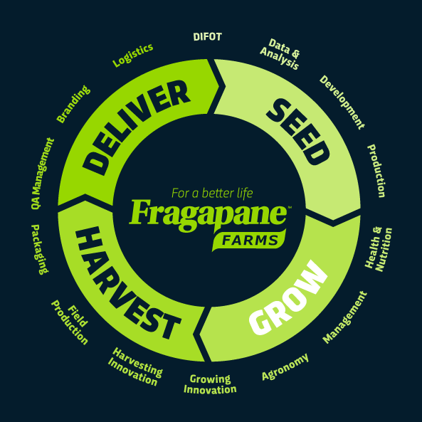 Fragapane Farms Approach